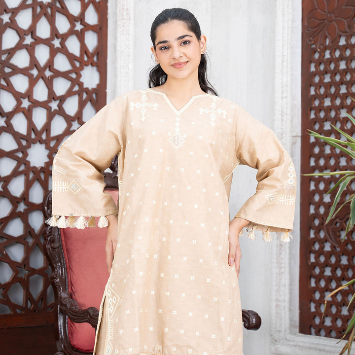 2-PC Embroidered Shirt &Cambric Trouser