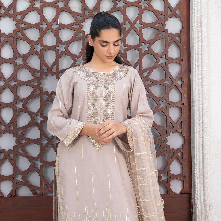 3-PC Embroidered Shirt Raw Silk Trouser& Net Dupatta
