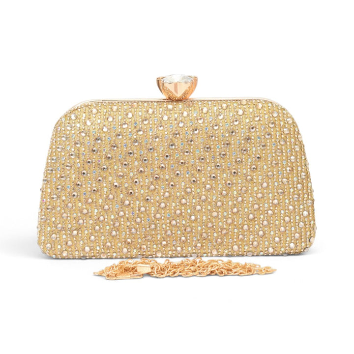 Fancy Clutch