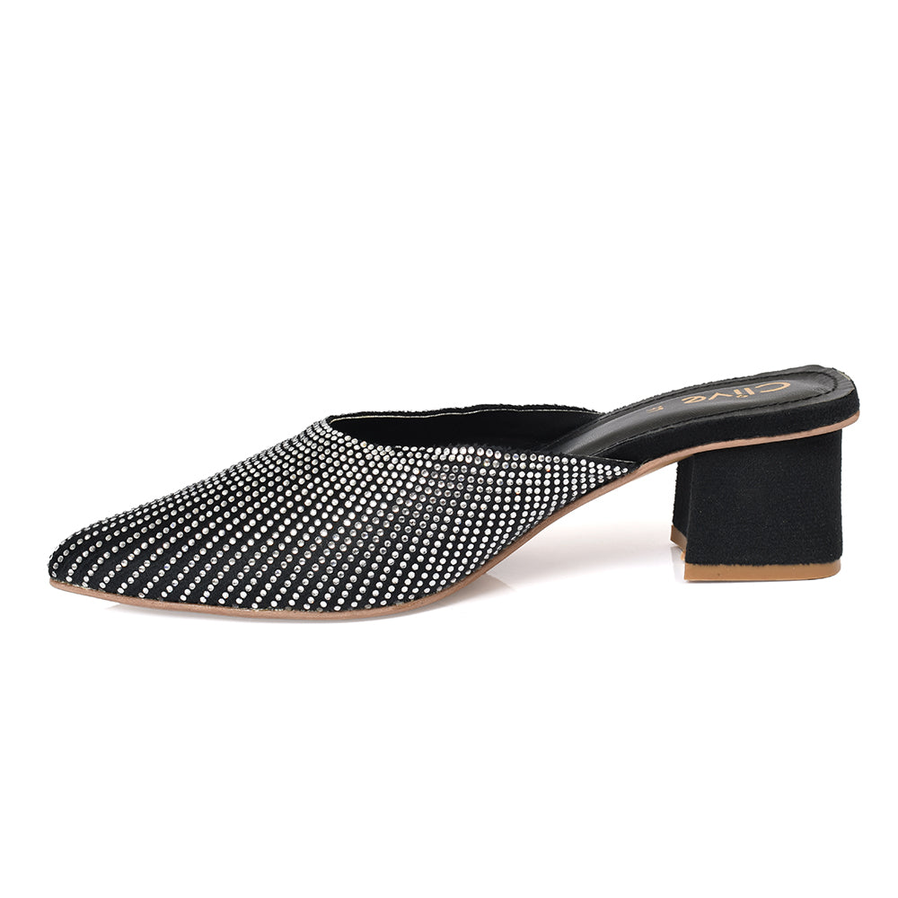 Fancy Court Shoes