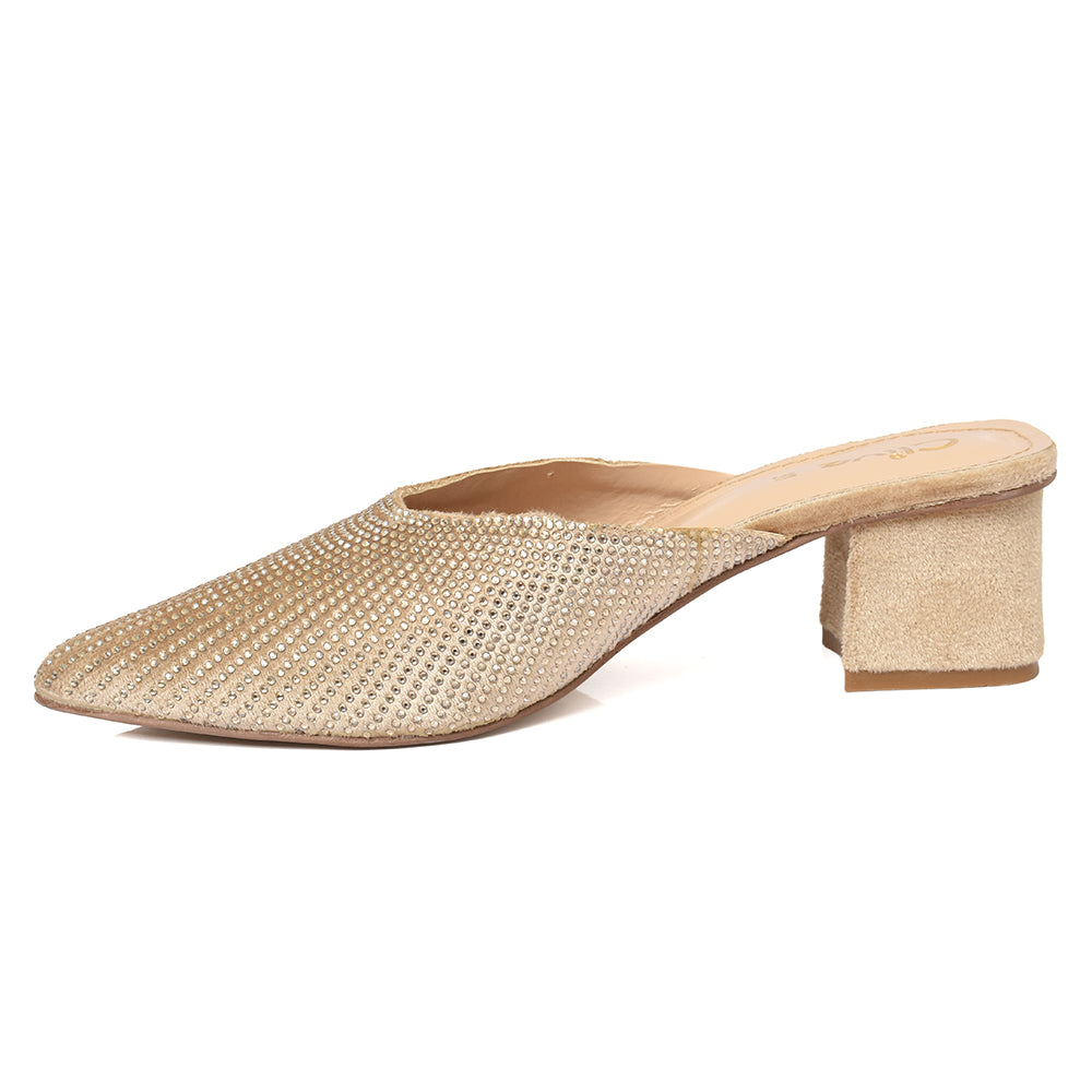 Fancy Court Shoes